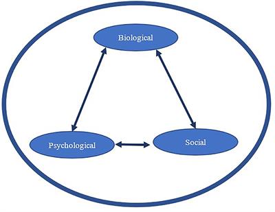 Dogs Supporting Human Health and Well-Being: A Biopsychosocial Approach